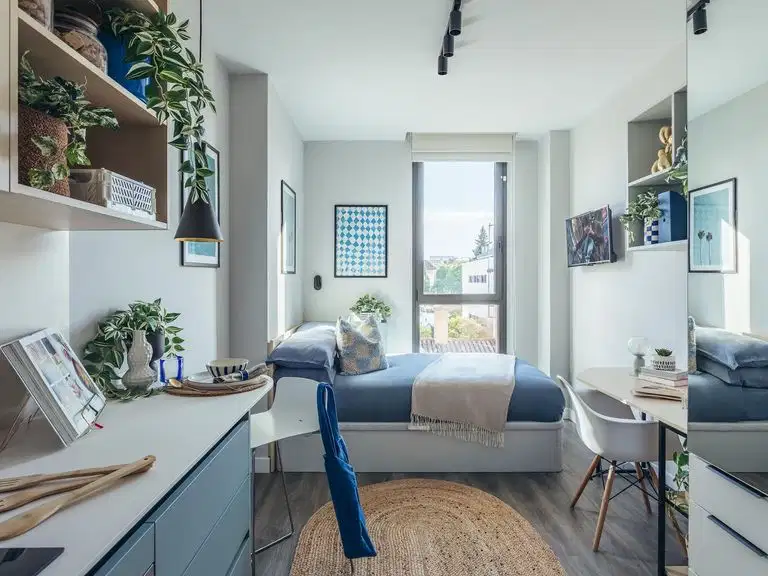 Palm Studios, Seville