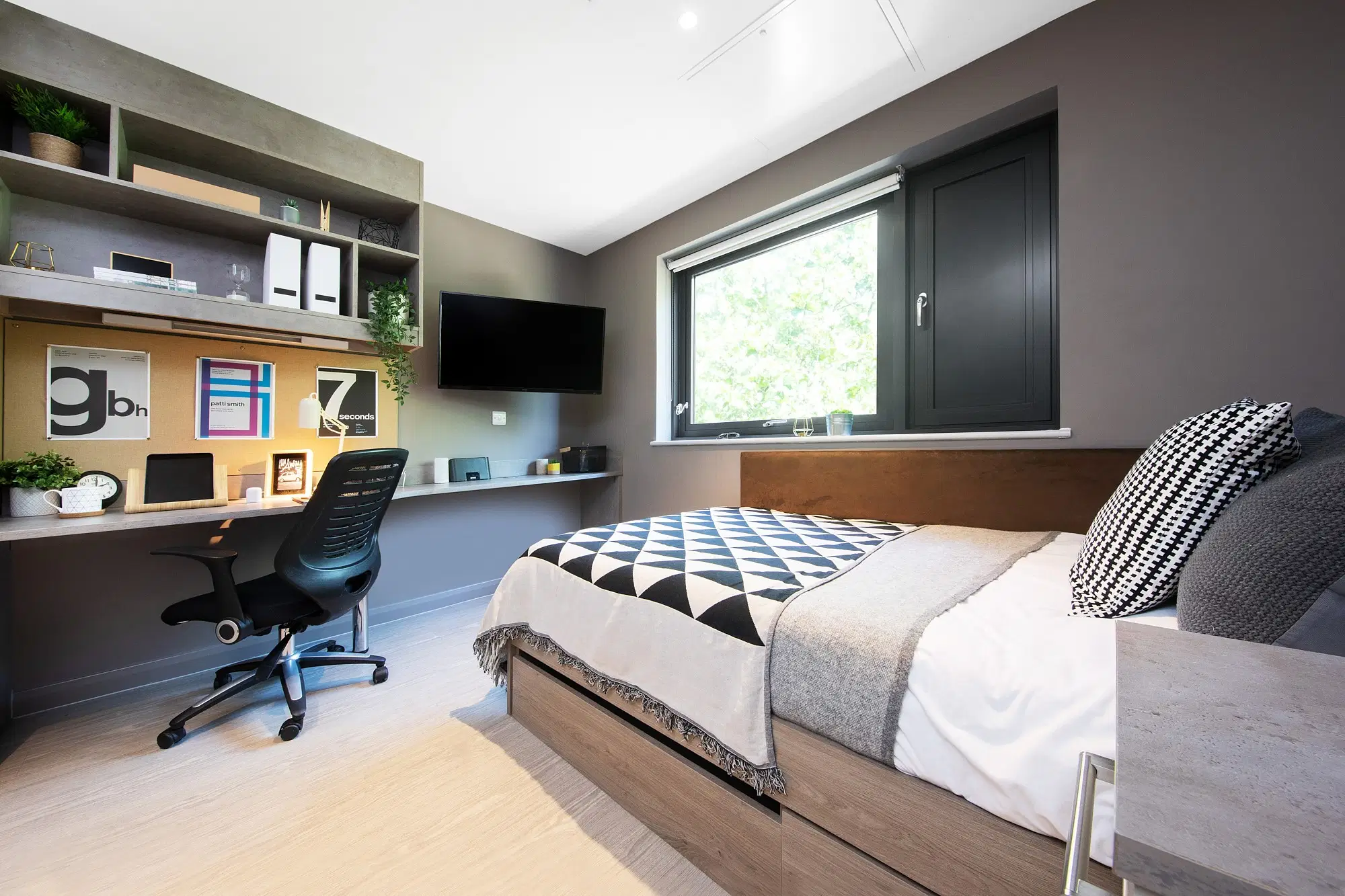 Collegiate Eclipse, Cardiff – Square Studio