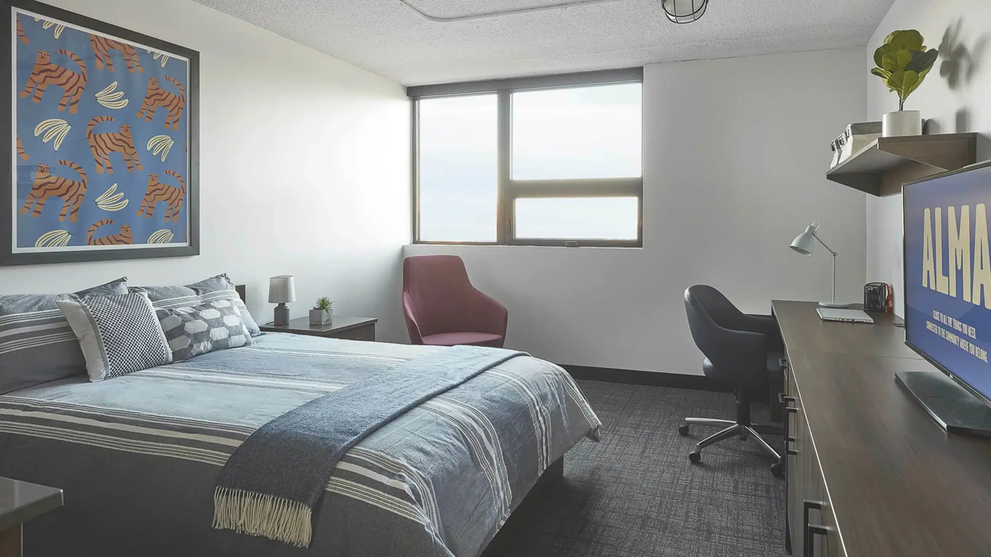 ALMA @ Guelph Student Housing, Guelph – The Scottsdale
